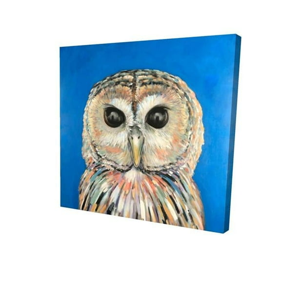 8 x 8 in. Colorful Spotted Owl-Print on Canvas