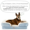 thumbnail image 5 of TOWN & COUNTRY EVERYDAY CuddleTown Comfy Solid Bolster Sofa Pet Bed, Supportive & Calming Egg Crate Foam, Water Repellent, Non-Slip Bottom, Machine Washable Cover, Blue, Large 35"x25"x8", 5 of 6