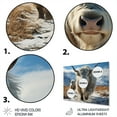 thumbnail image 3 of Designart "Majestic Yaks in the Winter Landscape" Yaks Metal Art Living Room, 3 of 5