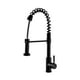 thumbnail image 1 of Llave mezcladora monomando grifo cocina Tecnolam TEC102NEGRO INOX negro mate semi-profesional, 1 of 4