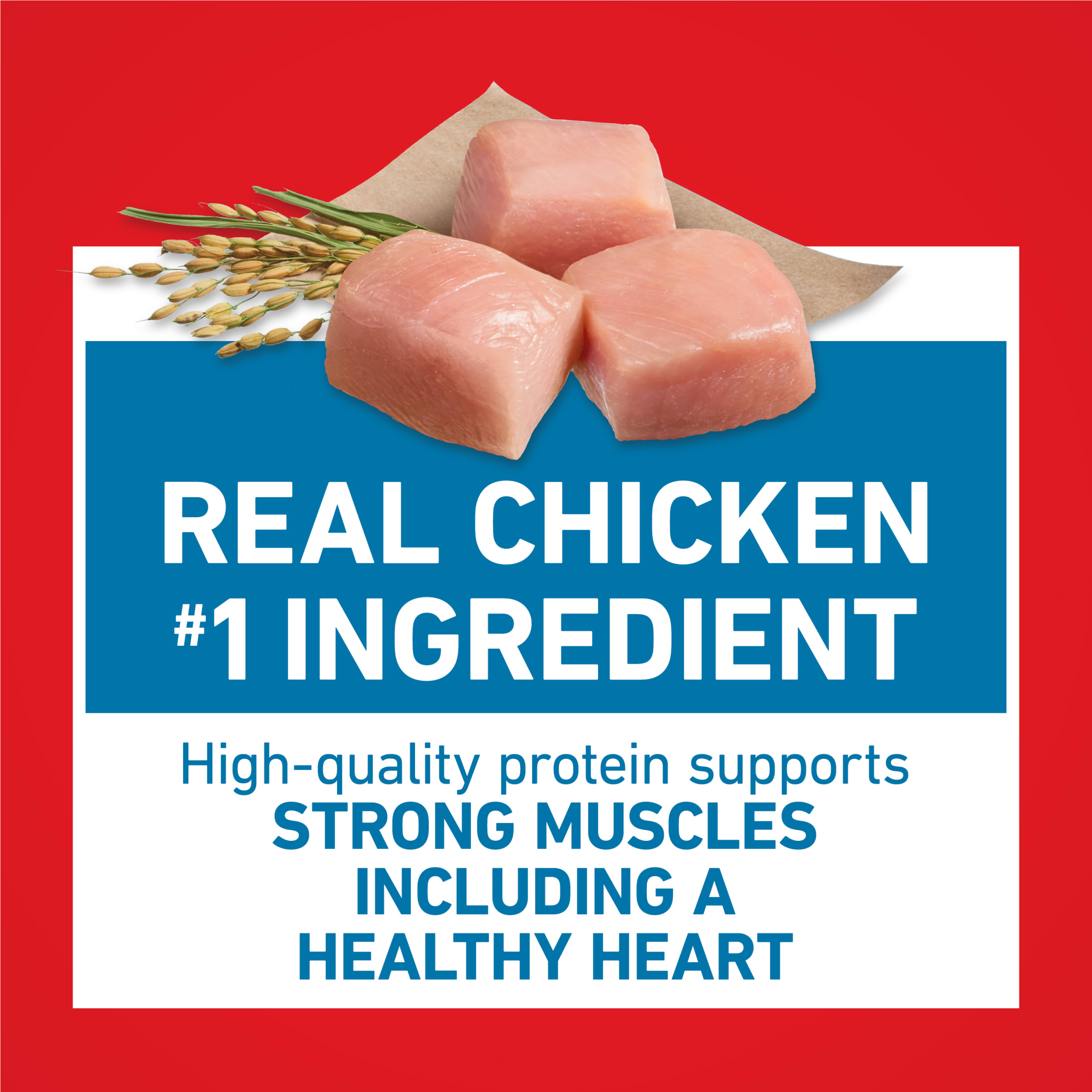 Purina ONE Plus Joint Health Dry Dog Food photo 5