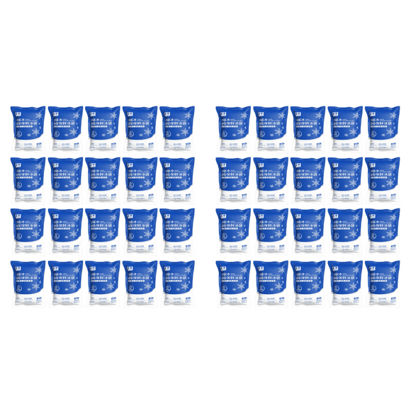 20 bolsas de hielo desechables de 200 ml para caja aislante, paquete de espuma (20 unidades)