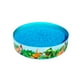 thumbnail image 1 of Alberca Infantil Circular Dinosaurios Bestway Plástico Duro PVC Resistente 244 cm, 1 of 4