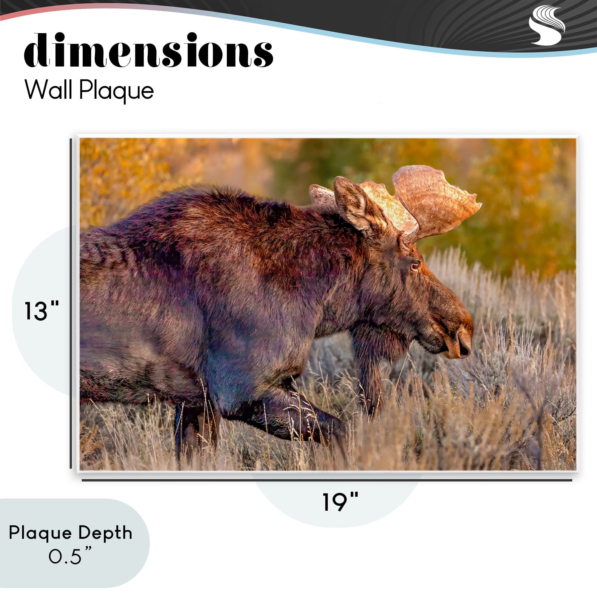 Stupell Industries Bull Moose At Dusk Wall Plaque Art, design by Shelley Carlisle