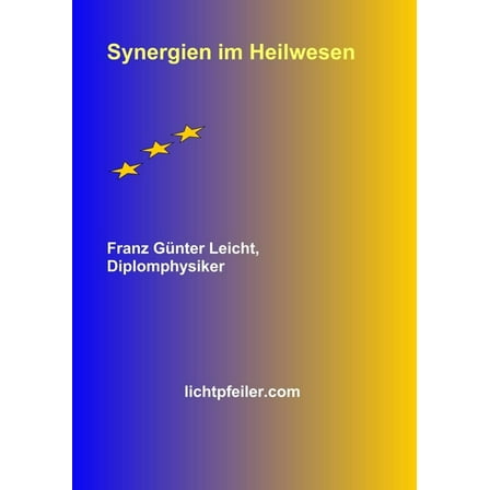 Synergien im Heilwesen (Paperback)