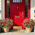 thumbnail image 4 of Scidweet Artificial Geraniums Flowers for Outdoors, 10 Bundles Mixed Fake Silk Flowers Plastic Flowers for Summer Indoors Table Garden Porch Decor, 4 of 6