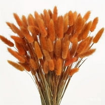 Tutuviw 60 Pcs Natural Dried Bunny Tails Grass, Dried Flowers Dried Lagurus Ovatus, Rabbit Tail Grass for Flowers Arrangements DIY Craft Wedding Party Home Table Christmas Decor (Orange)