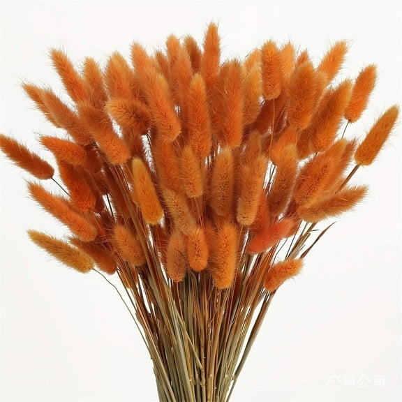 Tutuviw 60 Pcs Natural Dried Bunny Tails Grass, Dried Flowers Dried Lagurus Ovatus, Rabbit Tail Grass for Flowers Arrangements DIY Craft Wedding Party Home Table Christmas Decor (Orange)