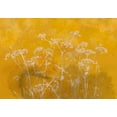 thumbnail image 2 of Floral Wallpaper Wall Mural - Meadow Bathed in The Sun, 2 of 5