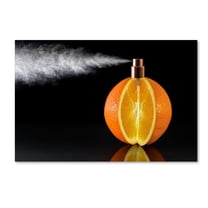 Jesus M Garcia 'Natural Perfum' Canvas Art