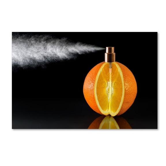 Jesus M Garcia 'Natural Perfum' Canvas Art