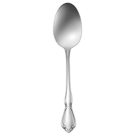 

Stainless Steel Tablespoon & Serving Spoon