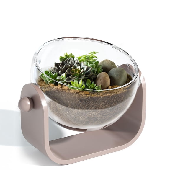 NIUBEE 7inch Clear Indoor Plant Pot with Drainage Hole and Removable Plug, Root-Viewing Succulent Planter for Hydroponic or Soil Growing, Modern Desktop & Windowsill Decor, 1 Pack