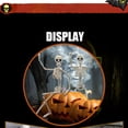 thumbnail image 4 of Widget Irfora Decoraciones de esqueleto de Halloween Calavera Novia Novio Decoración colgante con articulaciones posibles Adorno de esqueleto volador de Halloween Regalo para festivales de f Irfora Widget, 4 of 5