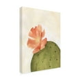 thumbnail image 2 of Trademark Fine Art 'Arid Bloom I' Canvas Art by Emma Scarvey, 2 of 4