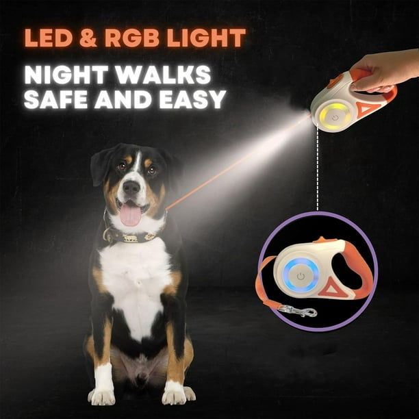 Dog leash with light hot sale