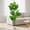 C, variant on Senfot 120cm Single PEVA Artificial Monstera Deliciosa Plant Large Split Leaf Fake Greenery Floor Plant Tropical Style Home Office Indoor Ornament