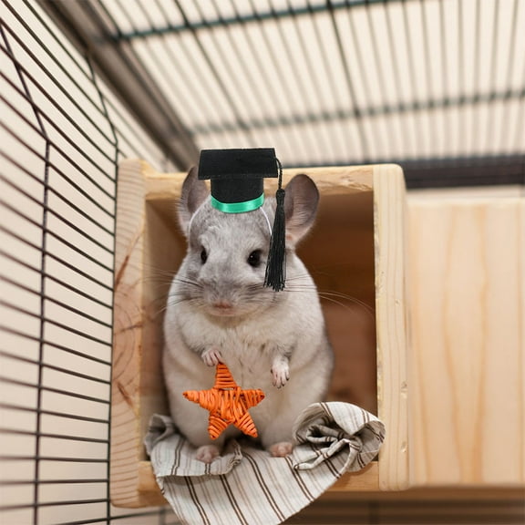 PAMINGONO Mini Graduation Cap with Tassel for Small Animals Adjustable Size 2Pcs Green Felt