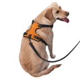 thumbnail image 2 of Naloa Orange Glitter2 Pet Harness Vest with Traction Rope, Adjustable No-Choke Dog Vest for Outdoor, Walking - Large, 2 of 5