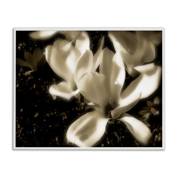 Stupell Industries Traditional Plant Petals in Nature White Framed Giclee Art, 30 x 24, by Noah Bay