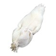 thumbnail image 2 of KLKCMS 50Pcs Magnolia Skeleton Leaves Bookmark Jewelry Making Specimen Craft Leaves, 2 of 9