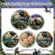 thumbnail image 3 of Artículos de fiesta Avezano Dinosaur Birthday Jurassic Kids 24, 3 of 6