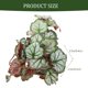thumbnail image 2 of unbranded Planta Reptil Artificial Para Acuario Con Ventosas Para Y, 2 of 6