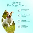 thumbnail image 5 of Clear Formulas SAM-e Chewable Dog Supplement 225 mg, Liver and Mood Support, 120 Count, 5 of 10