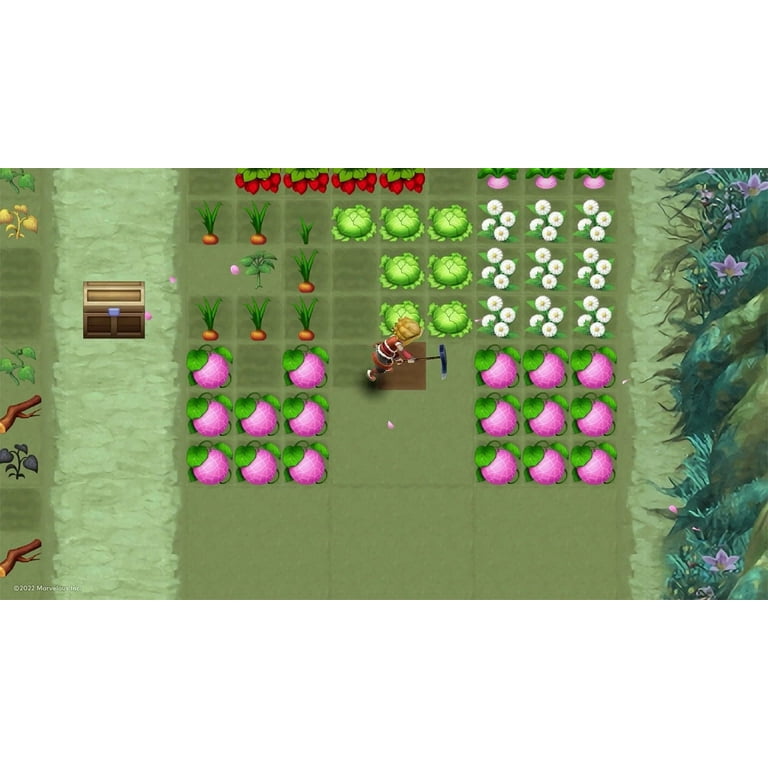 Rune factory hotsell 4 switch walmart