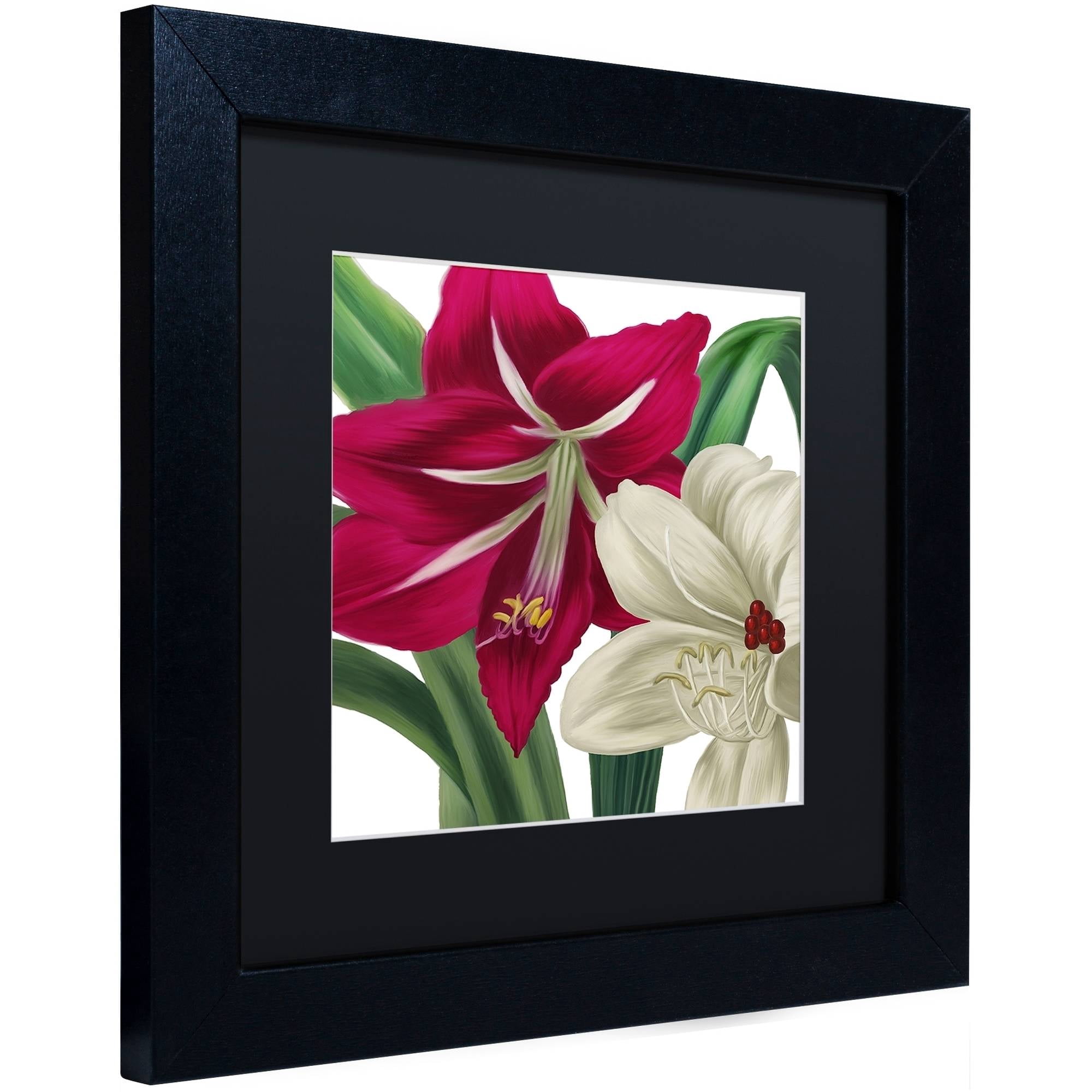 Trademark Fine Art "Christmas Amaryllis I" Canvas Art by Color Bakery Black Matte, Black Frame