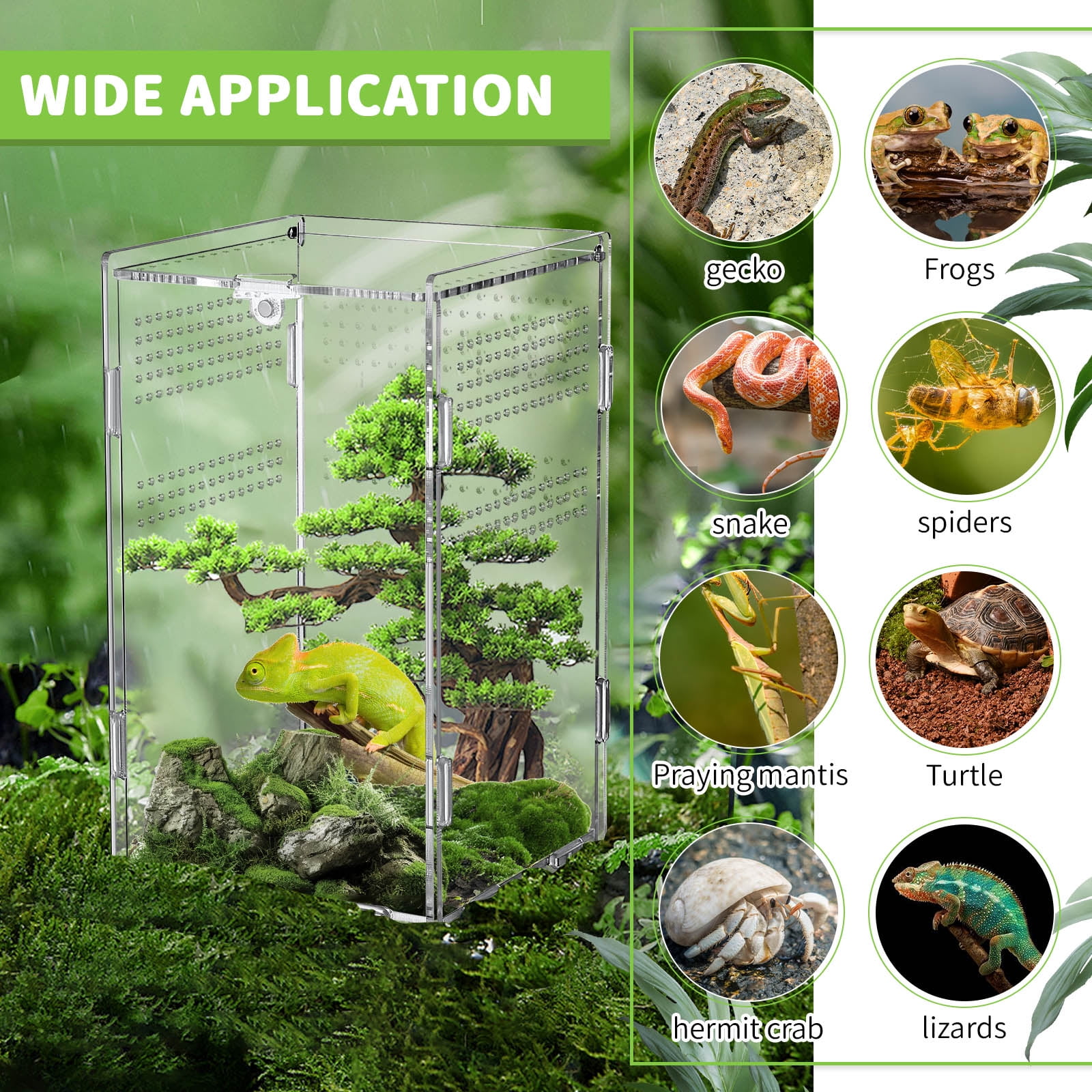 2 Sets Acrylic Mini Reptile Tank Accessories, Mini Tarantula Enclosure with Locking, Terrarium for Reptiles Jumping Spiders