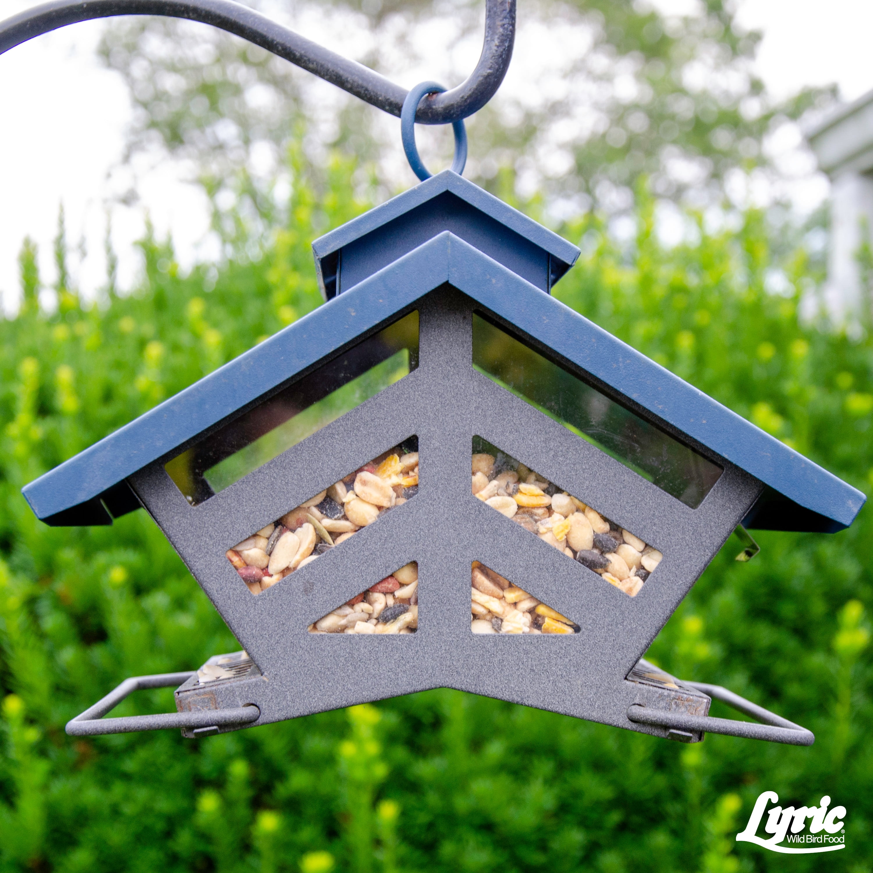 Lyric Fine Tunes No Waste Bird Seed Mix 15 Lb Walmart Com