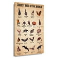 thumbnail image 1 of Bat Wall Art Knowledge Poster Educational Wall Art Infographic Poster Living Room Decor Pictures Aesthetic Wall Paintings Artwork Prints on Canvas Unframed 12×18 in, 1 of 5