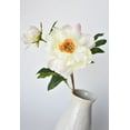 thumbnail image 4 of 22.5" Faux Peony Stem w/Bud Cream White, 4 of 6