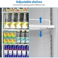 thumbnail image 4 of Danolapsi 25 cu.ft Commercial Beverage Display Refrigerator with 2 Glass Door, Upright Beverage Cooler with LED Lighting, Adjustable Shelves and Drink Organizers, Cooling 32-50℉, 4 of 9