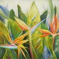 thumbnail image 3 of Pinto, Patricia 12x12 Black Modern Framed Museum Art Print Titled - Bird of Paradise I, 3 of 5