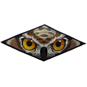 Owl Eyes Embroidered Patch 9" x 4" FREE USA SHIPPING