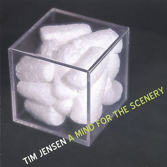 Tim Jensen - A Mind For The Scenery - Jazz - CD
