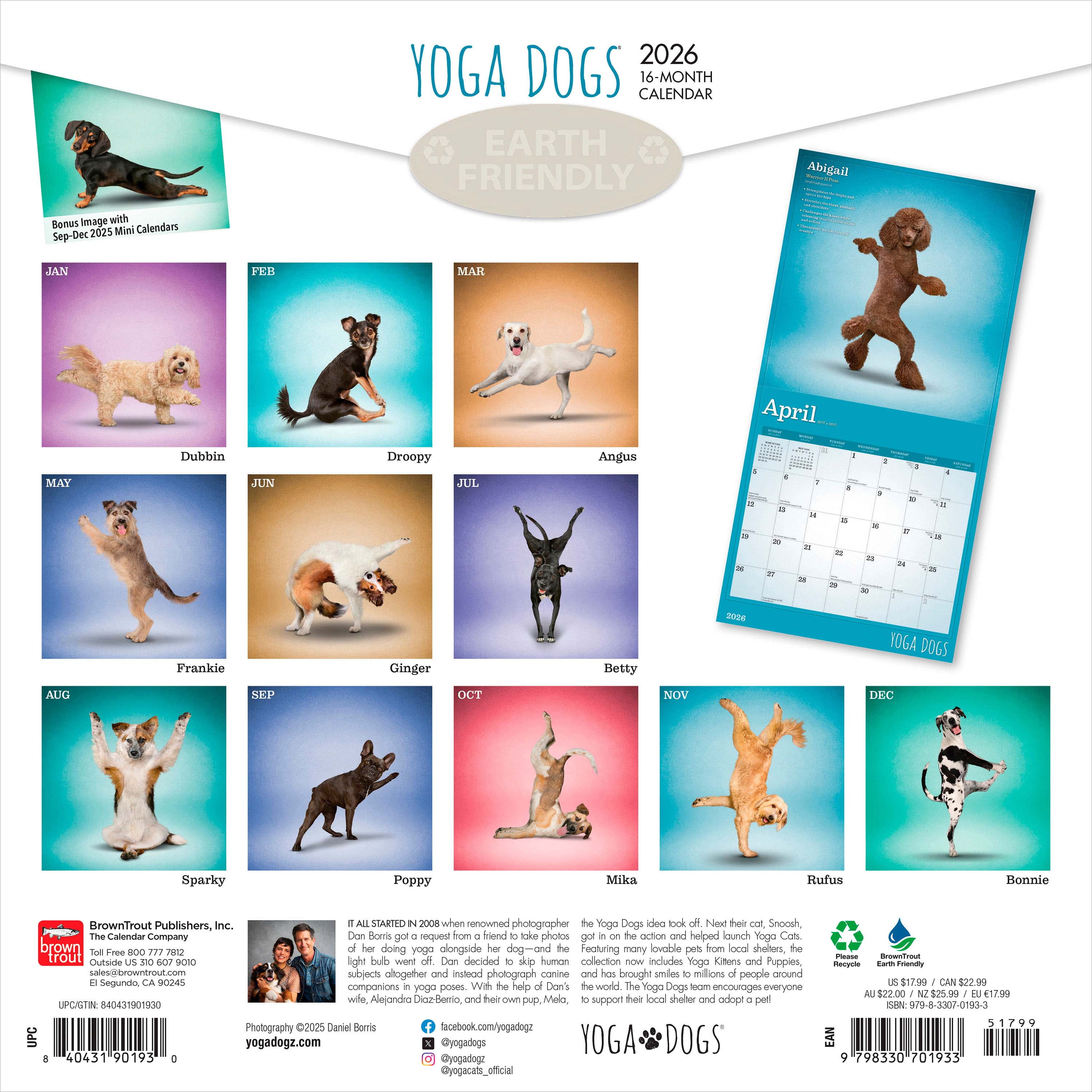 Yoga Dogs 2026 Square Flap
