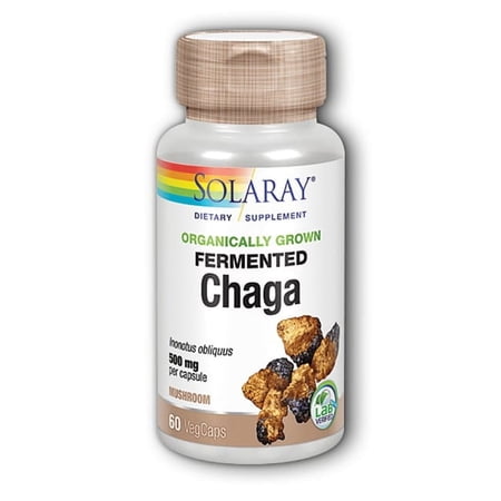 Solaray Fermented Chaga Mushroom 500 mg | Healthy Immune Function Support | 30 Servings | 60 VegCaps