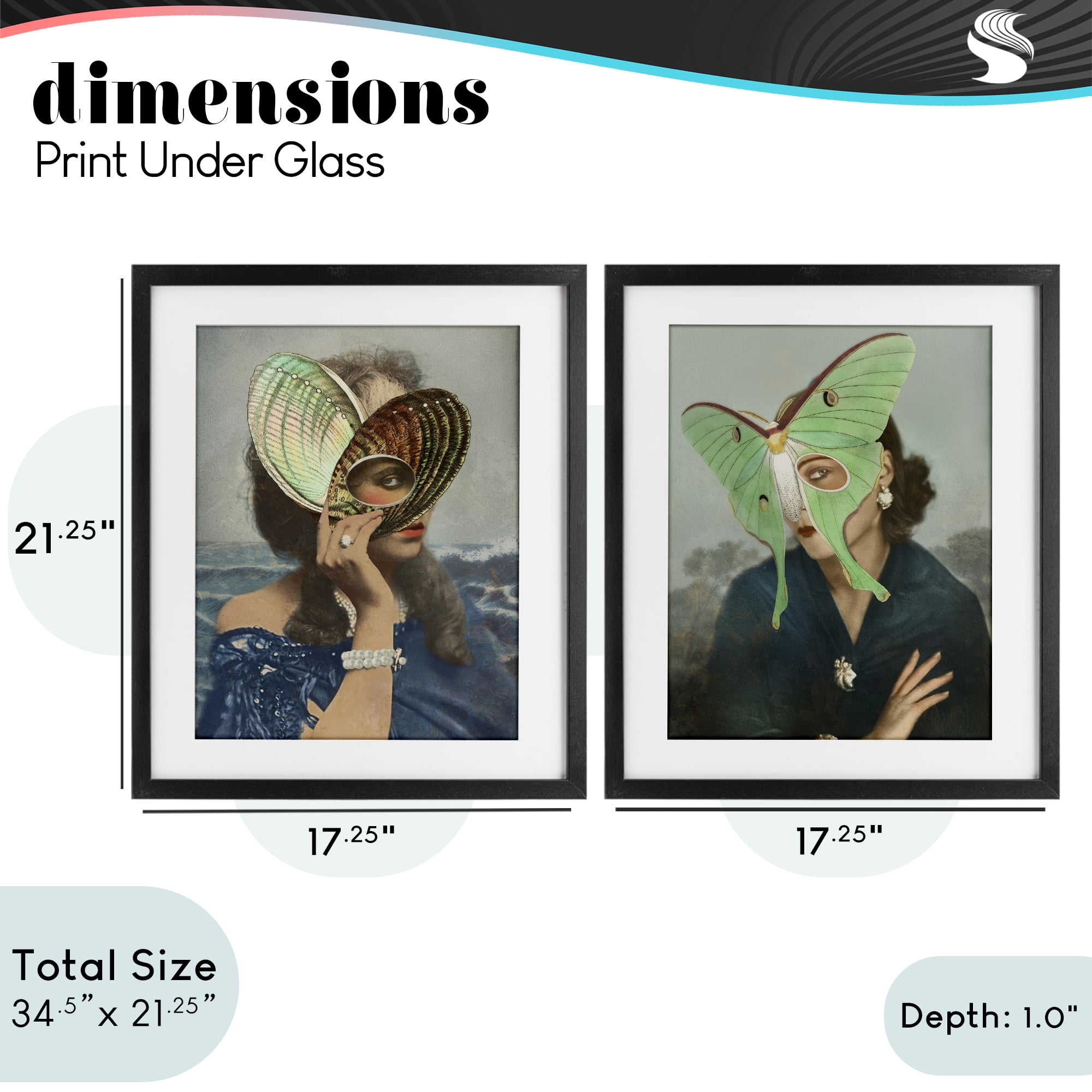 Stupell Industries Naturalist Women Portraits 2 Piece Black Framed Print Under Glass Set, design by Victoria Barnes