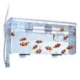 thumbnail image 3 of Caja de almacenamiento y cría Fluval multicámara grande, 3 of 5
