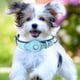 thumbnail image 5 of Collar Para Mascotas Pet Collar Creative Anti Loss Location Tracker Collares para Airtag (Azul claro S), 5 of 8