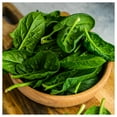 thumbnail image 4 of Everwilde Farms - 250 Organic Bloomsdale Spinach Seeds - Gold Vault Jumbo Bulk Seed Packet, 4 of 5