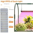 thumbnail image 6 of Mini Greenhouse Indoor with Grow Light, Small Tabletop Greenhouses Kit for Indoors, LED Plant Nursery with Timer & Zippered Door for Seed Starting, 27.2" L X 19.9" W X 27.2" H, 6 of 10