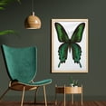 thumbnail image 2 of Swallowtail Butterfly Wall Art with Frame, Realistic Exotic Wildlife Creature in Green Tones, Printed Fabric Poster for Bathroom Living Room Dorms, 23" x 35", Olive Green Jade Green, by Ambesonne, 2 of 2