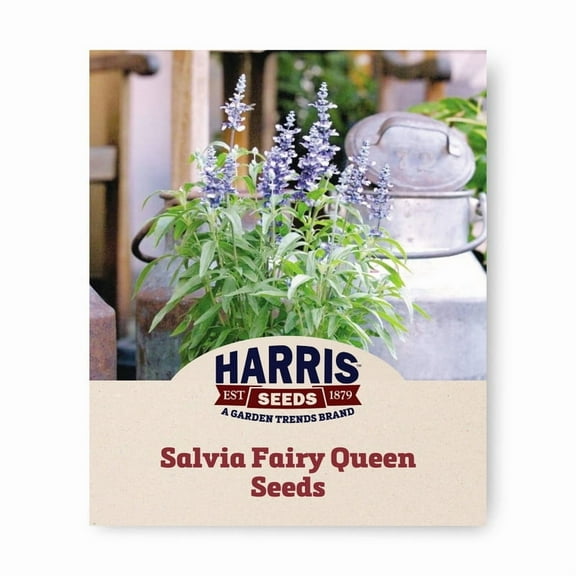 Harris Seeds - Salvia Fairy Queen Seeds - Blue With White Spots Flowers - 500 Seeds