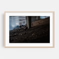 thumbnail image 2 of Untitled - Portland Oregon Photography Bridge Moody Dog Landscape Water Unframed Wall Art Print 4 x 6 inches, 2 of 7