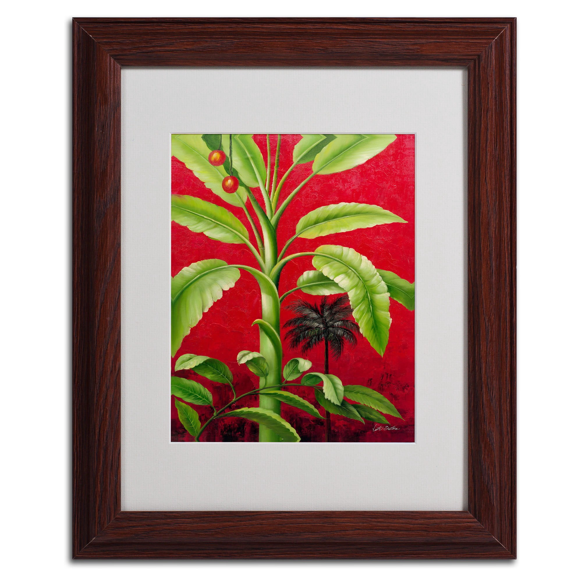 Trademark Fine Art "Tropical Palm II" Canvas Art by Victor Giton, Wood Frame