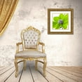 thumbnail image 3 of Frank, Assaf 15x15 Gold Ornate Wood Framed with Double Matting Museum Art Print Titled - AF20110714 Dahlia 107C15 Green, 3 of 4